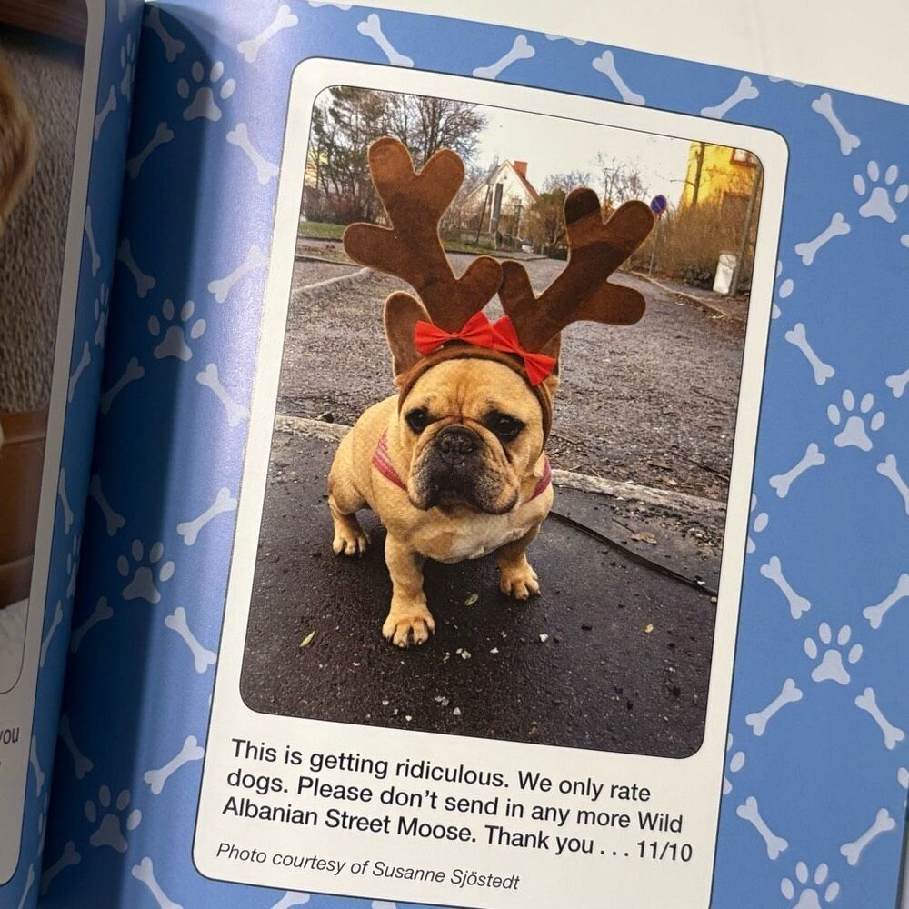 We Rate Dogs: The Most Adorable and Hilarious Pups by Matt Nelson Hardcover - Picture 4 of 5